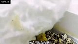 爆笑视频公鸡下蛋下蛋公鸡公鸡中的战斗噢耶