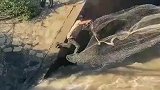 为了点鱼你这也太拼了吧