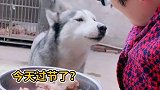 今天加餐了  猪蹄安排上