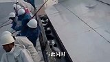 这是什么鱼？鱼鳞竟然比盔甲还坚硬，想吃只能用锤子敲鱼鳞