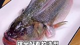 清蒸鲈鱼最简单好吃的做法早中晚电蒸锅 解锁蓝鲸召唤术 好好吃好好生活