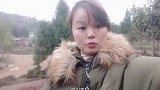 广东妹千里迢迢到四川营山乡下，为了摘原生态柚子吗流口水了没
