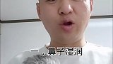 家有萌宠挑选小狗，要注意哪些细节