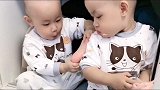 双胞胎弟弟请哥哥吃猪蹄，没想到确是这个结局，太搞笑了