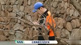 五十公里桃花坞：郭麒麟打篮球被误伤！