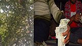 老人卖地救病子，泼猴抢走救命钱上树乱撒 