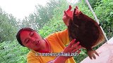 这种海鲜最馋人，个头比胖妹脸还大，1人吃1整条，都还嫌没解馋