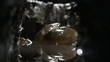 谁说吃螃蟹要剥壳的？这种刚刚蜕壳的软壳蟹就像果冻一样