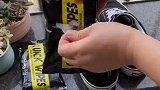 每天都穿新鞋，同事觉得很奇怪