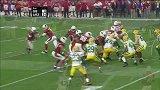 NFL-1516赛季-常规赛-第16周-亚利桑那红雀38:8绿湾包装工-精华