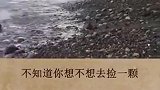 搞笑小视频：要发财了？