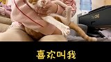 你猜猜养七只猫一个月要花多少钱？［上］