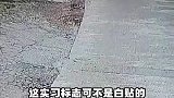 这实习标志可不是白贴的