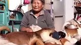 爱心奶奶花光所有积蓄，十年救助257个毛孩子的感人事迹