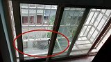 浙江19个月男童出租屋内坠楼身亡 房东被父母告上法庭