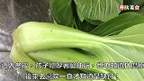 绿叶菜中的“钙王”，和豆腐天生一对，低脂入味，孩子老人要多吃