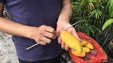 筷子可以拨开芒果皮，简单又实用的小妙招，你学会了吗