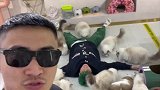 猫：实在不行，找个大夫看看吧