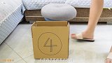 猫能塞进多小的箱子里？橘猫：我太难了！