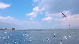 大理你比它还远吗坐标：大理白族自治州