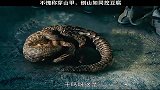好可爱的穿三甲