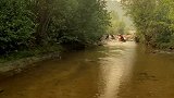加拿大最贵的河，被誉为聚宝盆，可以自动流出黄金