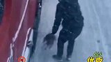 大货车雪后上坡时打滑，好心人“拔草”相助，帮忙脱困！