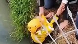 男子醉酒掉入河中，一位外卖小哥第一时间跳河施救