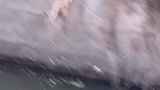兄弟今天和我说他今天做了好事