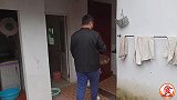 楼顶上种土豆，刨出三个大果实，做成酸辣味很抢手