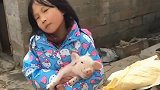 熊孩子硬是要把家里的猪当宠物！我真的无言以对