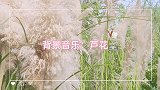 休闲片-醉梦老师与姐妹们的《芦花美》！