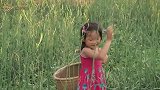 “我的家乡美·湘约马栏山”优秀短视频征集展示活动｜小县城也有诗和远方