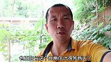 李哥种纯绿色蔬菜熟了，什么促使种纯天然蔬菜，说出来怕你笑话