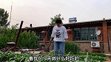 今天做个家常大蒸饺，满满一大锅，一咬出汤，水灵好吃