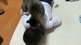 小猫咪真粘小主人，把脸放小主人头发上蹭，太可爱了