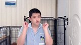 这些东西千万不能给狗狗吃