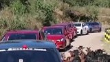 婚礼车队给羊群让路，结果被讨喜糖