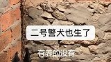 我就是三亿分之一