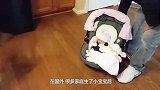 狗狗和小宝宝初次见面，是啥反应，会有什么意想不到发生呢