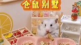 仓鼠的别墅竟然是这样的