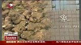 湖北持续干旱 一千多水库低于死水位-5月30日