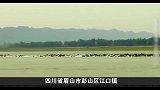 秋风纪录片：《岷江沉银》01