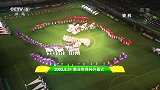 世界杯-14年-世界杯开幕式·回顾历届世界杯开幕-花絮