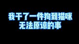 我干了一件猫都无法原谅的事，由于上厕所停水了，就用了它的猫砂
