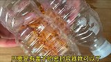 刚刚才知道,把橘子皮装进塑料瓶里,作用这么厉害,大家快收藏吧