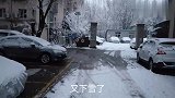 北京又下雪啦，2020年第一场雪，今年冬天的第三场雪