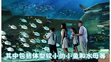 海洋里异常强大的生物