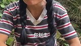 激动的心，颤抖的手，一百点赞都没有