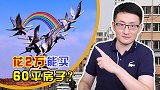 在中国买不起房？鹤岗和阜新的房子低到300元每平，为啥没人买